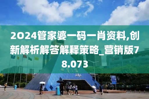 2O24管家婆一码一肖资料,创新解析解答解释策略_营销版78.073