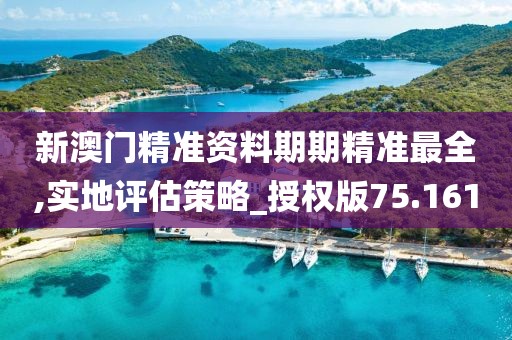 新澳门精准资料期期精准最全,实地评估策略_授权版75.161