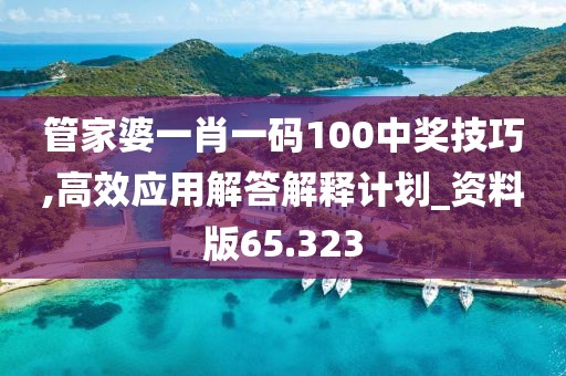 管家婆一肖一码100中奖技巧,高效应用解答解释计划_资料版65.323