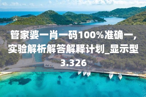 管家婆一肖一码100%准确一,实验解析解答解释计划_显示型3.326