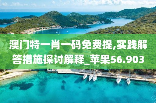 澳门特一肖一码免费提,实践解答措施探讨解释_苹果56.903
