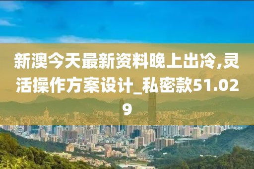 新澳今天最新资料晚上出冷,灵活操作方案设计_私密款51.029