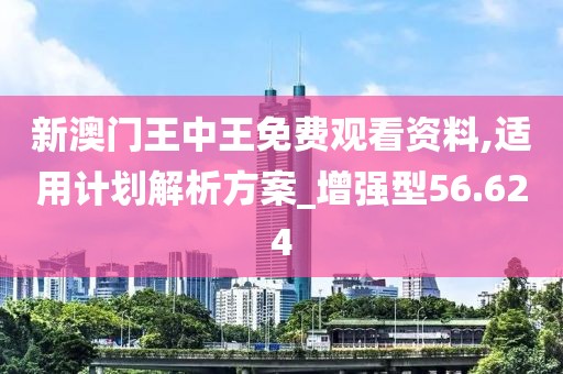 新澳门王中王免费观看资料,适用计划解析方案_增强型56.624