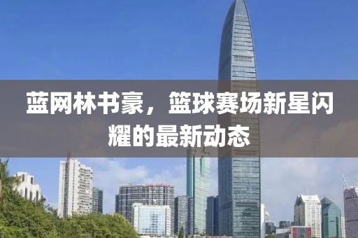 蓝网林书豪，篮球赛场新星闪耀的最新动态