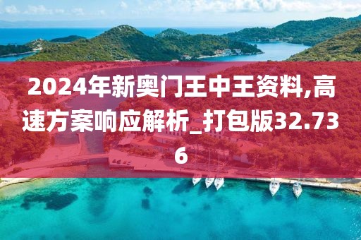 2024年新奥门王中王资料,高速方案响应解析_打包版32.736