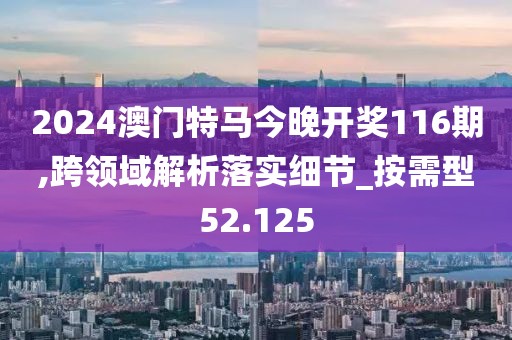 2024澳门特马今晚开奖116期,跨领域解析落实细节_按需型52.125