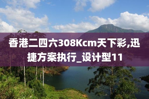 香港二四六308Kcm天下彩,迅捷方案执行_设计型11
