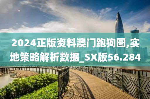 2024正版资料澳门跑狗图,实地策略解析数据_SX版56.284