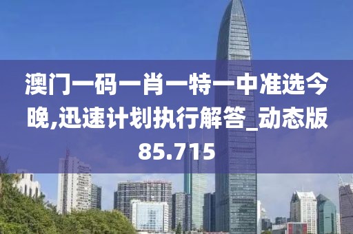 澳门一码一肖一特一中准选今晚,迅速计划执行解答_动态版85.715