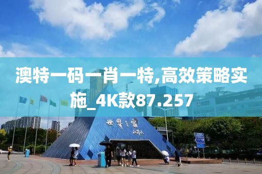 澳特一码一肖一特,高效策略实施_4K款87.257