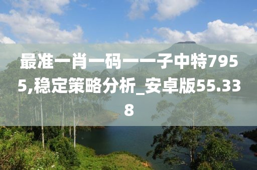 最准一肖一码一一子中特7955,稳定策略分析_安卓版55.338