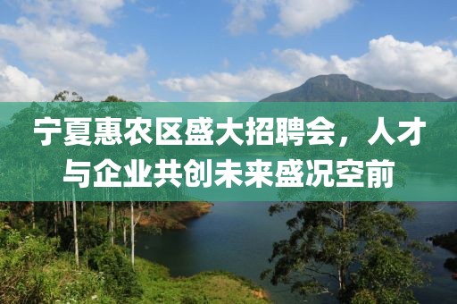 宁夏惠农区盛大招聘会，人才与企业共创未来盛况空前