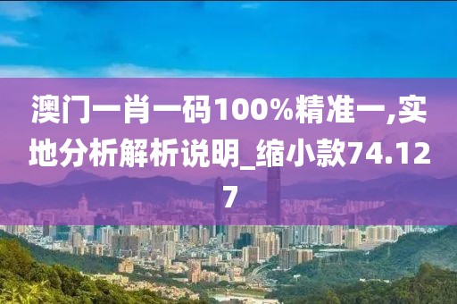 澳门一肖一码100%精准一,实地分析解析说明_缩小款74.127