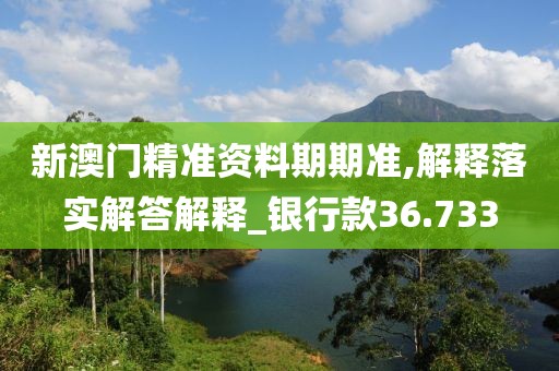 新澳门精准资料期期准,解释落实解答解释_银行款36.733