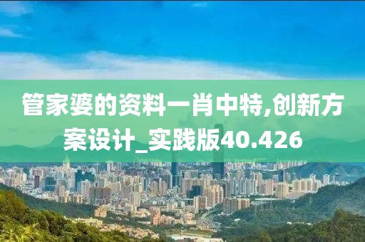 管家婆的资料一肖中特,创新方案设计_实践版40.426