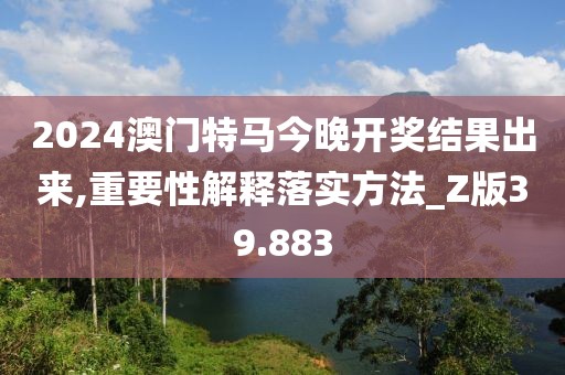 2024澳门特马今晚开奖结果出来,重要性解释落实方法_Z版39.883