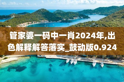 管家婆一码中一肖2024年,出色解释解答落实_鼓动版0.924