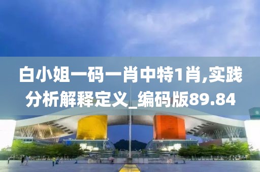 白小姐一码一肖中特1肖,实践分析解释定义_编码版89.84