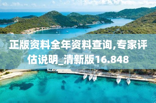 正版资料全年资料查询,专家评估说明_清新版16.848