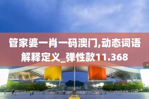 管家婆一肖一码澳门,动态词语解释定义_弹性款11.368