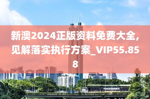 新澳2024正版资料免费大全,见解落实执行方案_VIP55.858