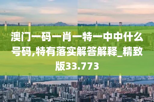 澳门一码一肖一特一中中什么号码,特有落实解答解释_精致版33.773