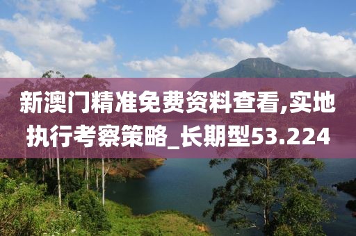 新澳门精准免费资料查看,实地执行考察策略_长期型53.224