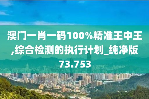 澳门一肖一码100%精准王中王,综合检测的执行计划_纯净版73.753
