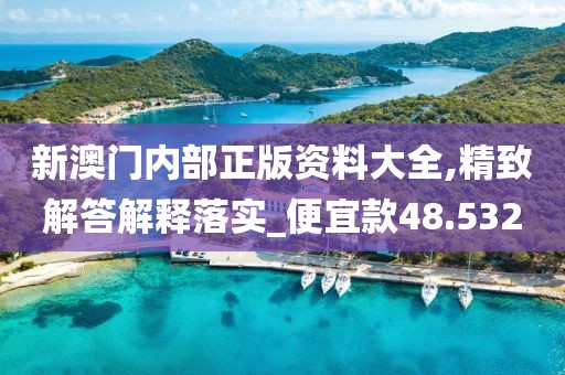 新澳门内部正版资料大全,精致解答解释落实_便宜款48.532