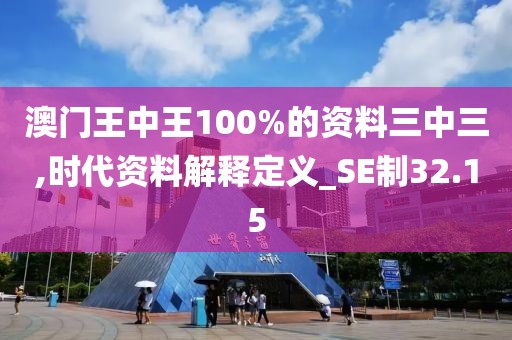 澳门王中王100%的资料三中三,时代资料解释定义_SE制32.15