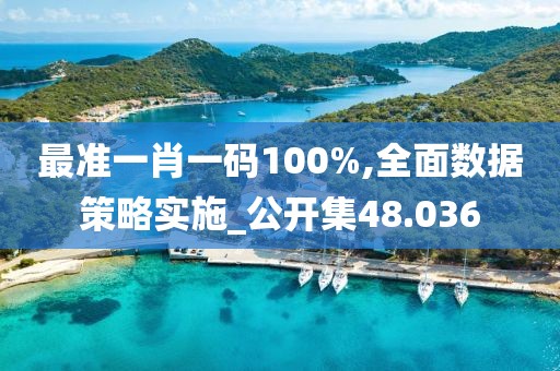 最准一肖一码100%,全面数据策略实施_公开集48.036