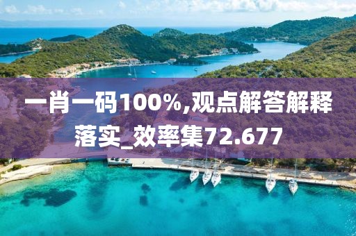 一肖一码100%,观点解答解释落实_效率集72.677