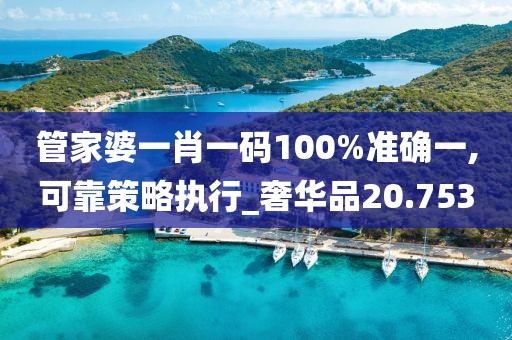 管家婆一肖一码100%准确一,可靠策略执行_奢华品20.753