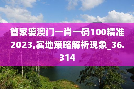 管家婆澳门一肖一码100精准2023,实地策略解析现象_36.314