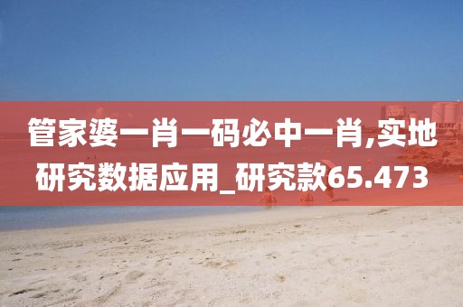 管家婆一肖一码必中一肖,实地研究数据应用_研究款65.473