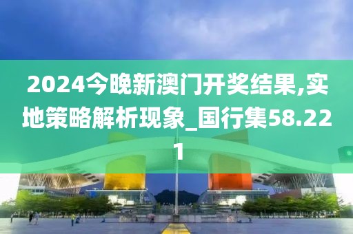 2024今晚新澳门开奖结果,实地策略解析现象_国行集58.221