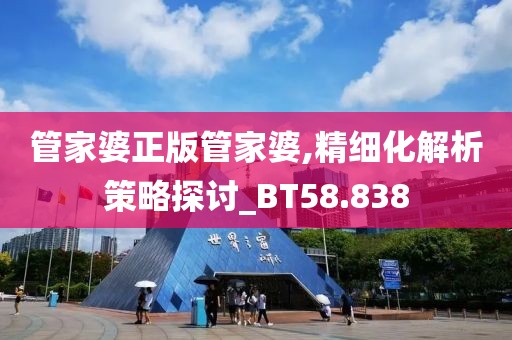 管家婆正版管家婆,精细化解析策略探讨_BT58.838