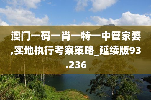 澳门一码一肖一特一中管家婆,实地执行考察策略_延续版93.236