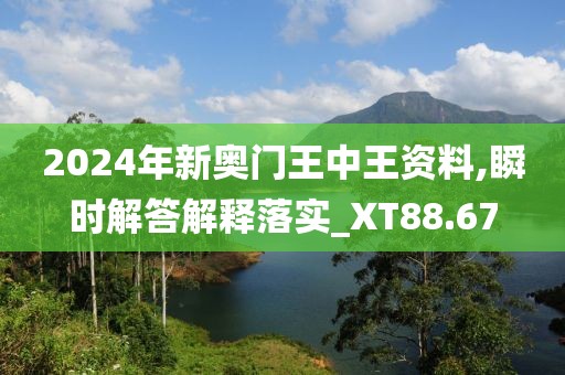 2024年新奥门王中王资料,瞬时解答解释落实_XT88.67