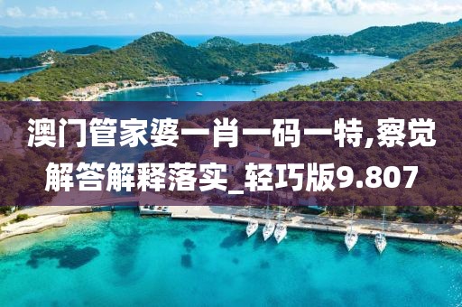 澳门管家婆一肖一码一特,察觉解答解释落实_轻巧版9.807