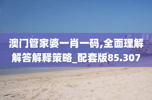 澳门管家婆一肖一码,全面理解解答解释策略_配套版85.307