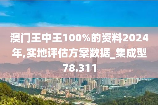 澳门王中王100%的资料2024年,实地评估方案数据_集成型78.311