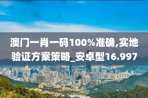 澳门一肖一码100%准确,实地验证方案策略_安卓型16.997