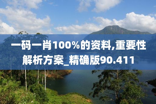 一码一肖100%的资料,重要性解析方案_精确版90.411
