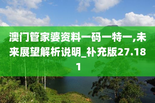 澳门管家婆资料一码一特一,未来展望解析说明_补充版27.181