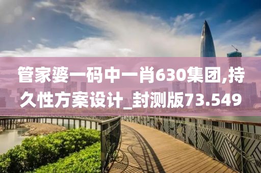 管家婆一码中一肖630集团,持久性方案设计_封测版73.549