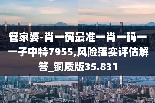 管家婆-肖一码最准一肖一码一一子中特7955,风险落实评估解答_铜质版35.831