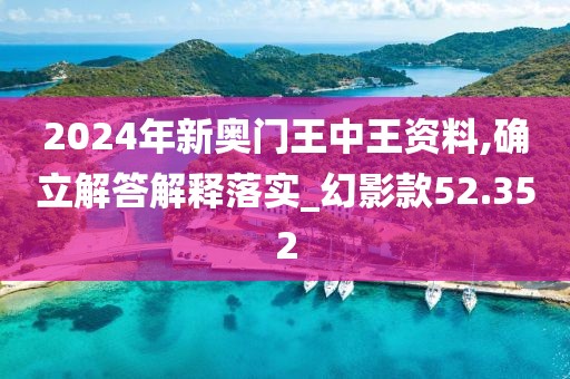 2024年新奥门王中王资料,确立解答解释落实_幻影款52.352