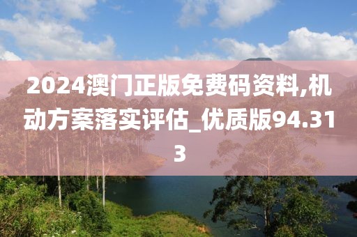 2024澳门正版免费码资料,机动方案落实评估_优质版94.313