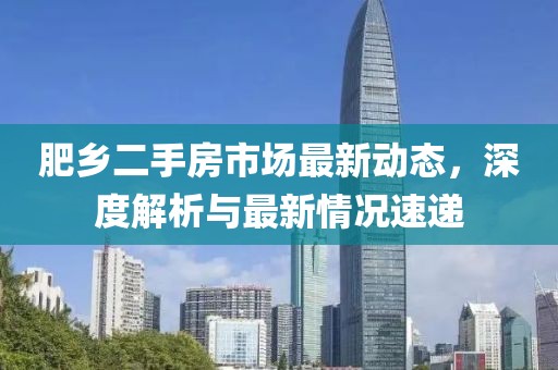 肥乡二手房市场最新动态，深度解析与最新情况速递